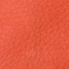 Small U Pouch - Warm Red