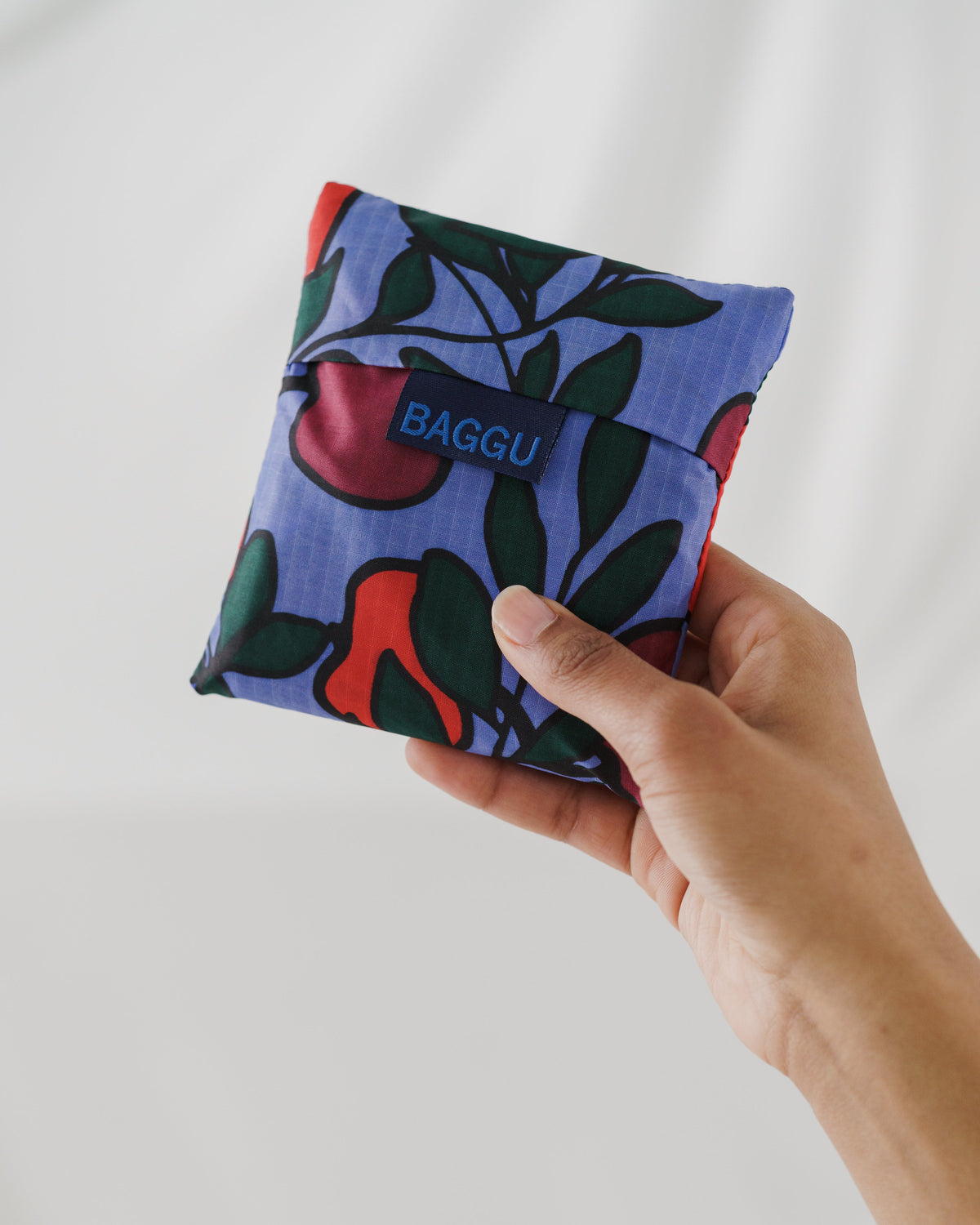 Standard Baggu - Apple Tree