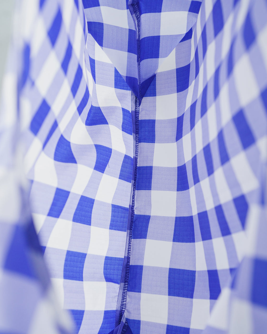 Standard Baggu - Big Check Blue