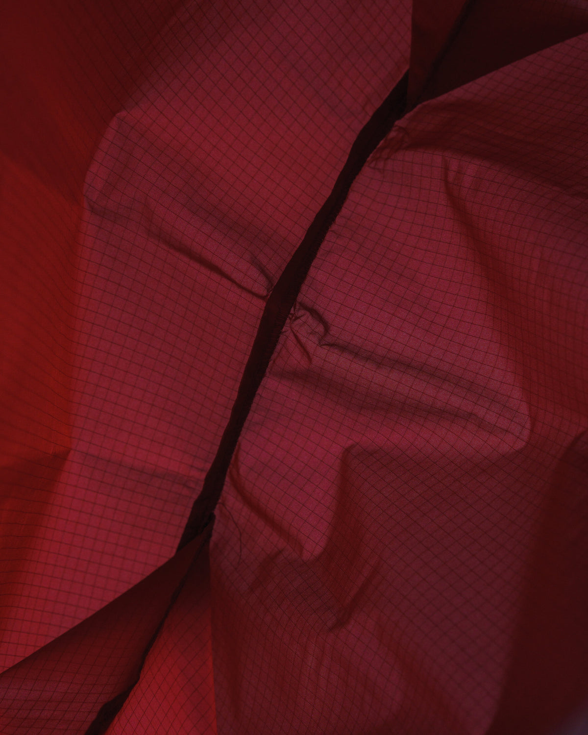 Standard Baggu - Cranberry