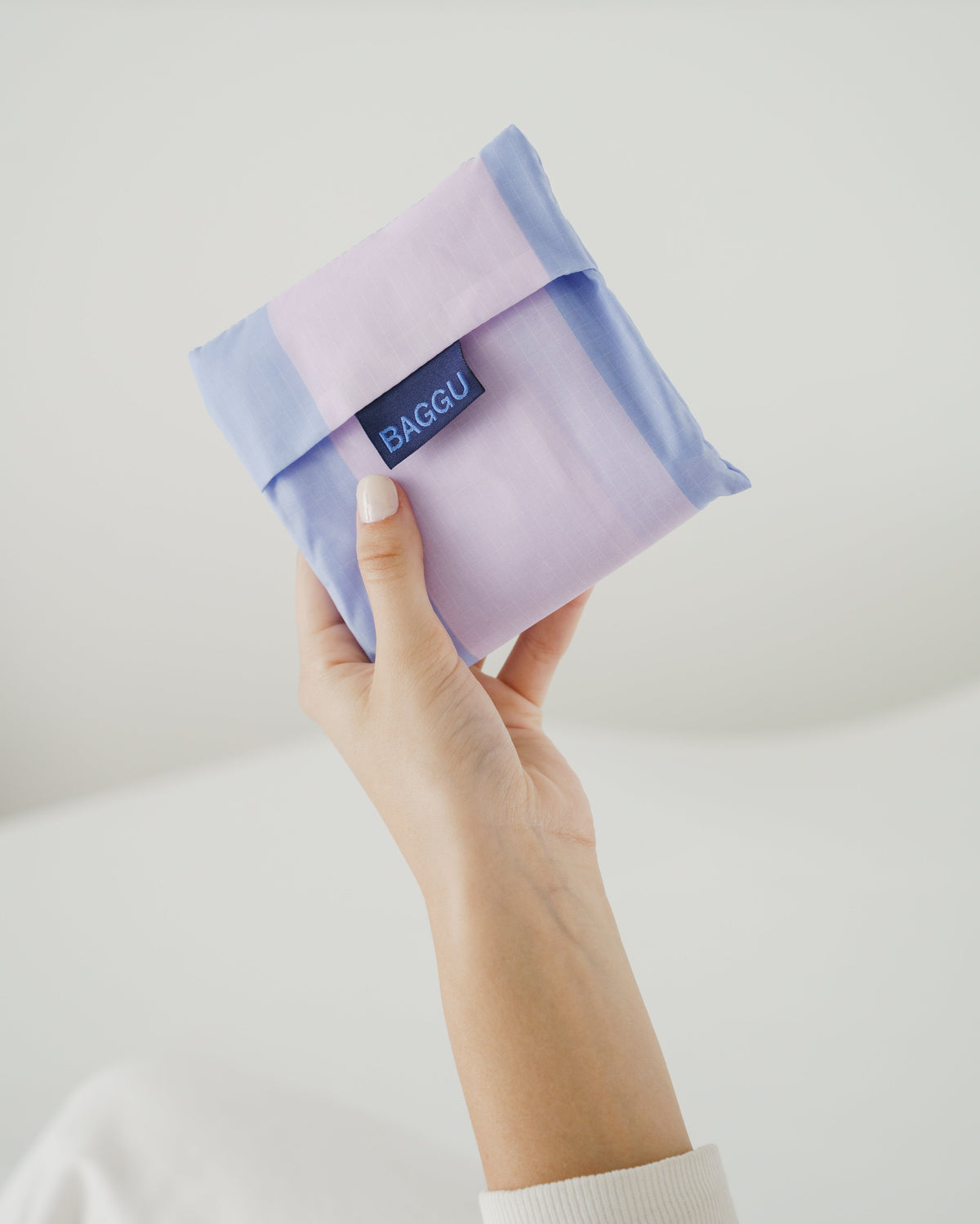 Standard Baggu - Cornflower Stripe
