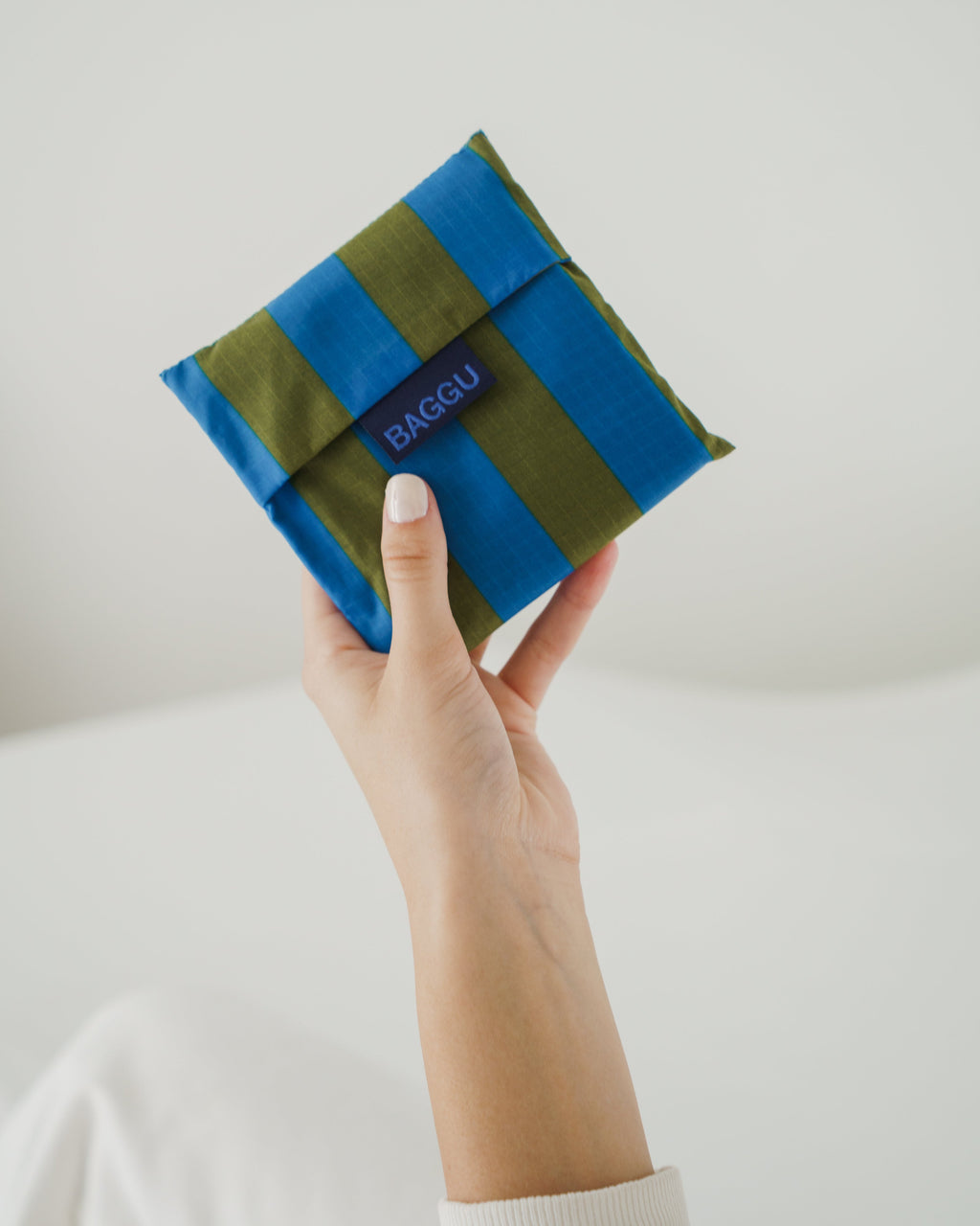 Standard Baggu - Cyan Stripe
