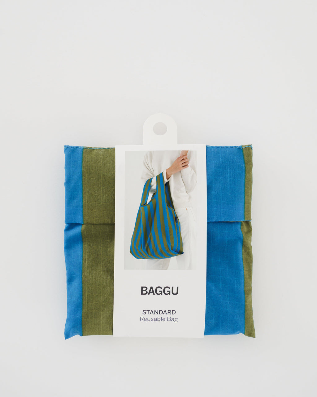 Standard Baggu - Cyan Stripe