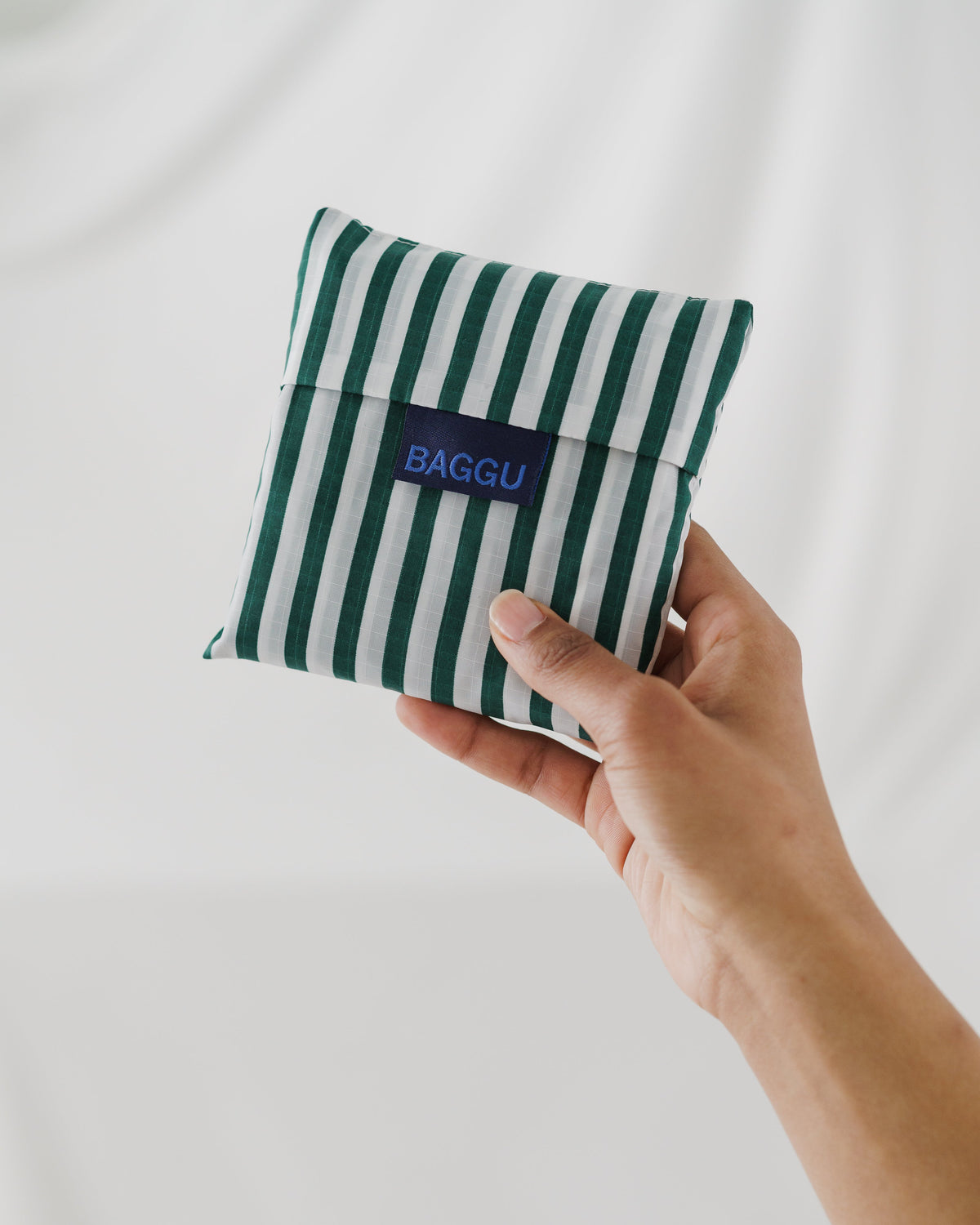 Standard Baggu - Green Hunter Stripe