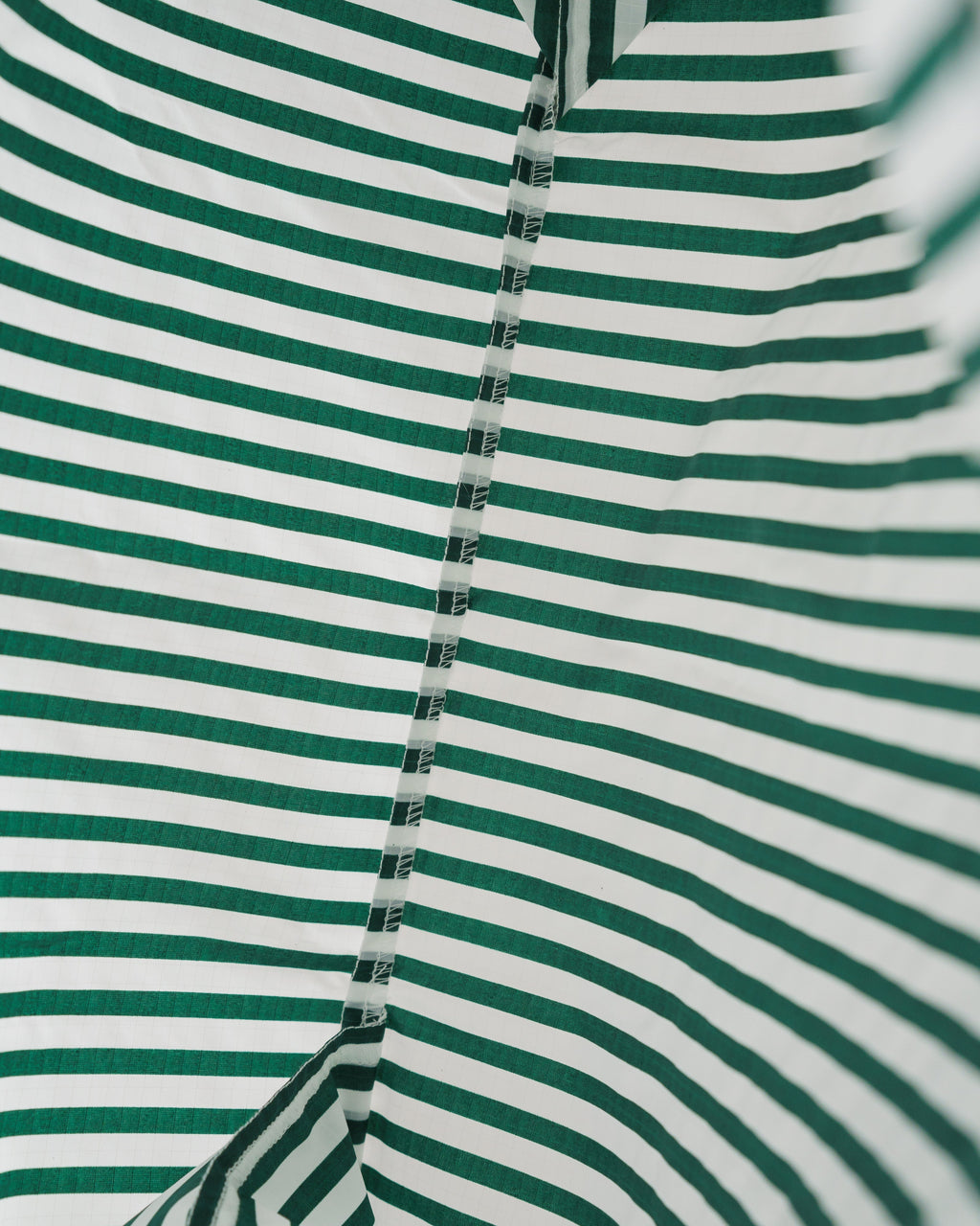 Standard Baggu - Green Hunter Stripe