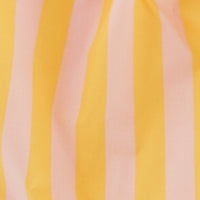 Standard Baggu - Marigold Stripe