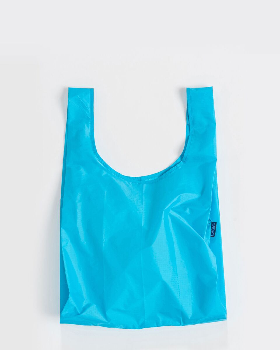 Standard Baggu - Sky