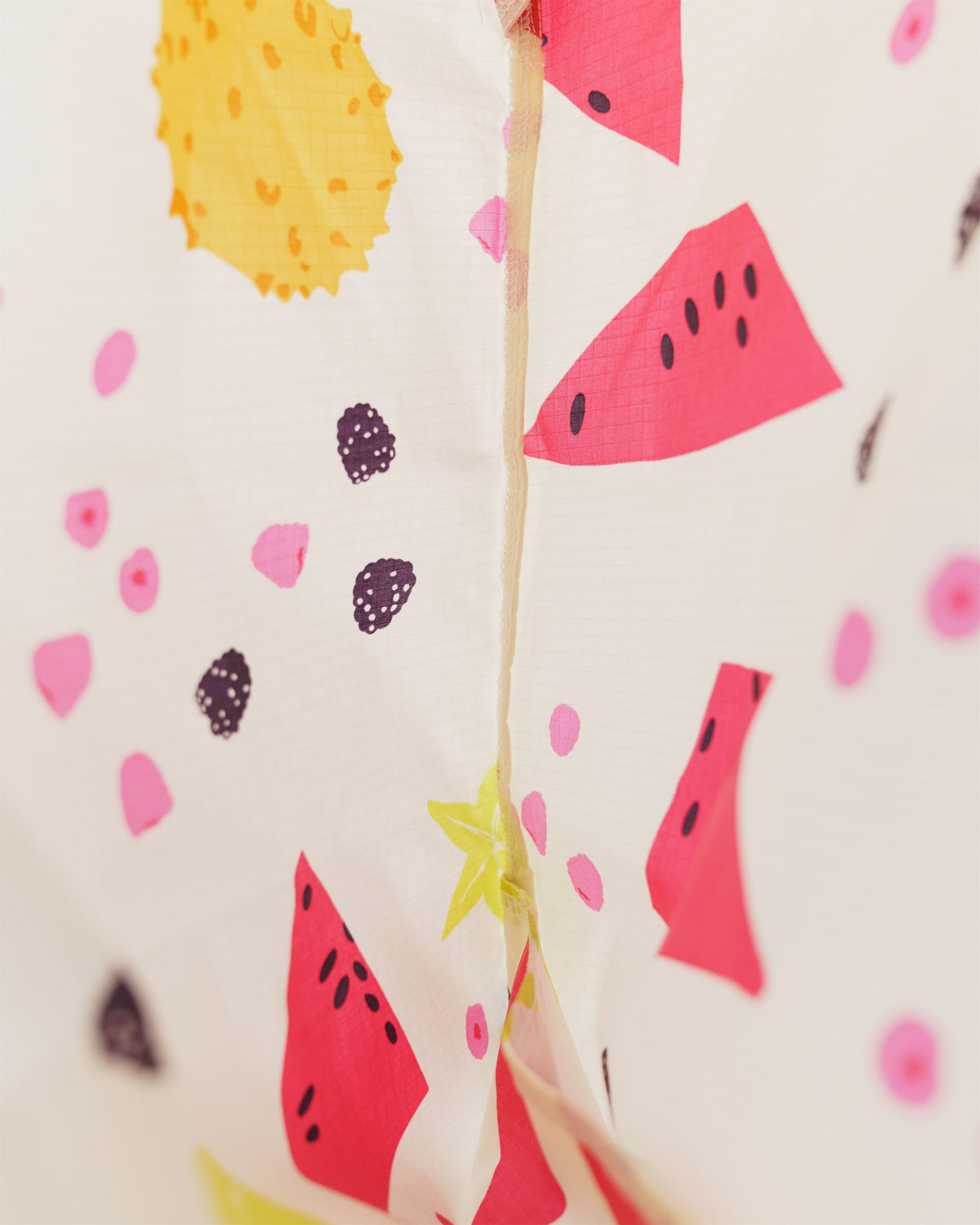Standard Baggu - Summer Fruit