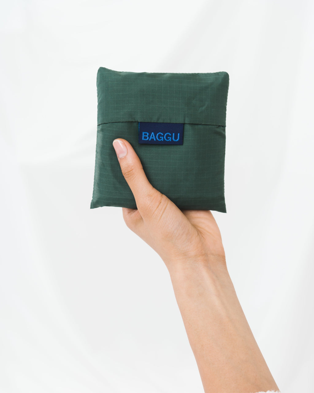Standard Baggu - Dark Sage