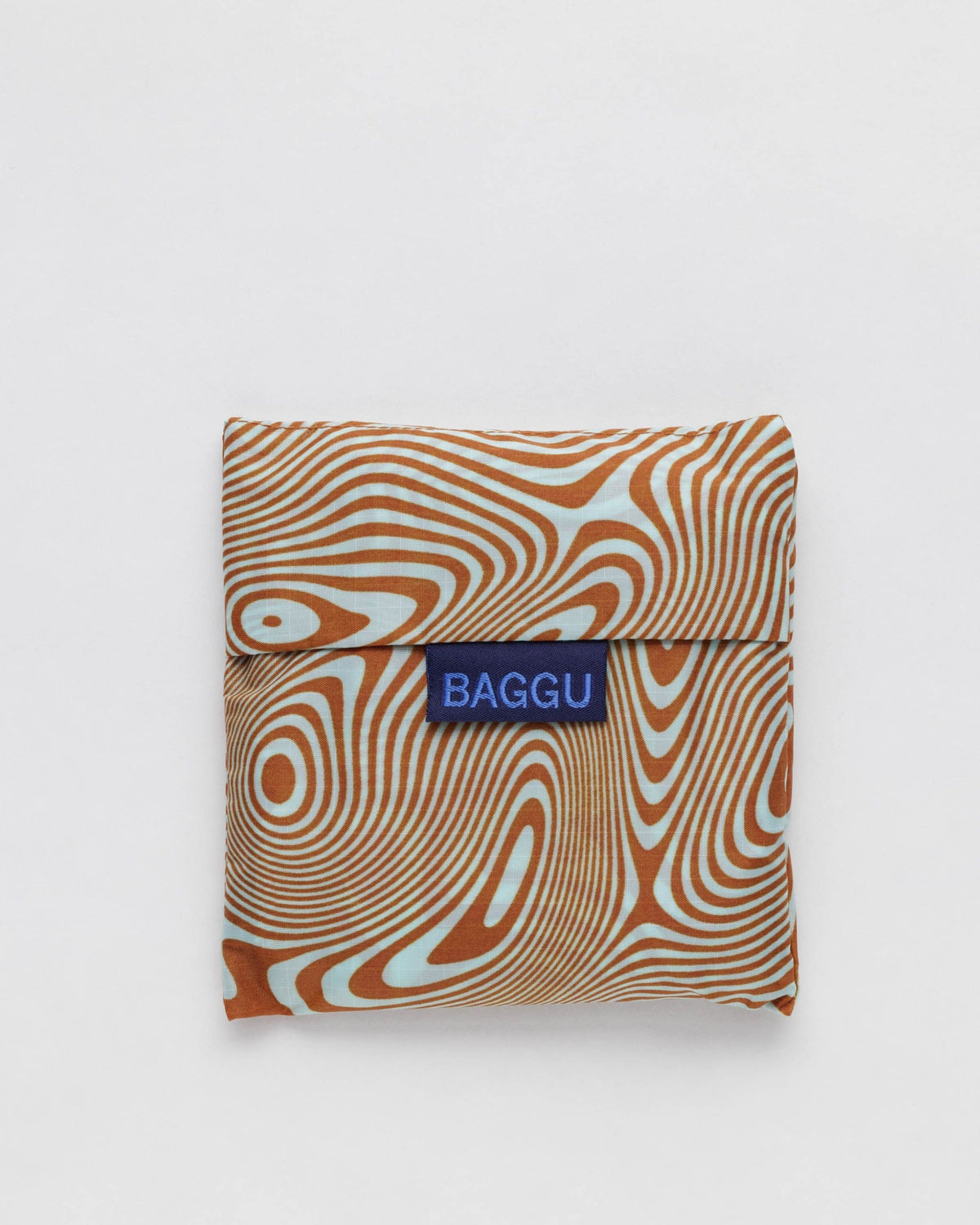 Standard Baggu - Trippy Swirl Pool
