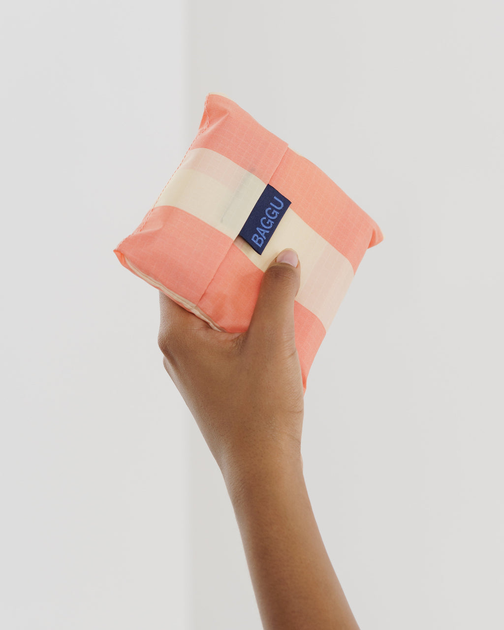 Standard Baggu - Washed Brick Stripe &nbsp;