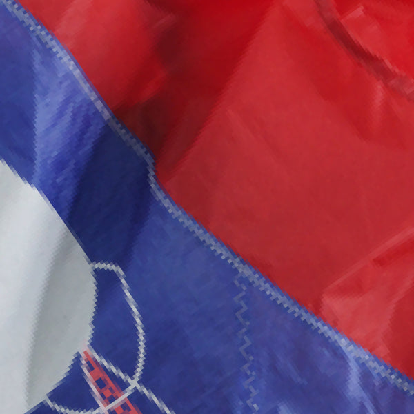 Upcycled Baggu - Red Sail